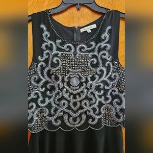 Francesca's Sequin Dress